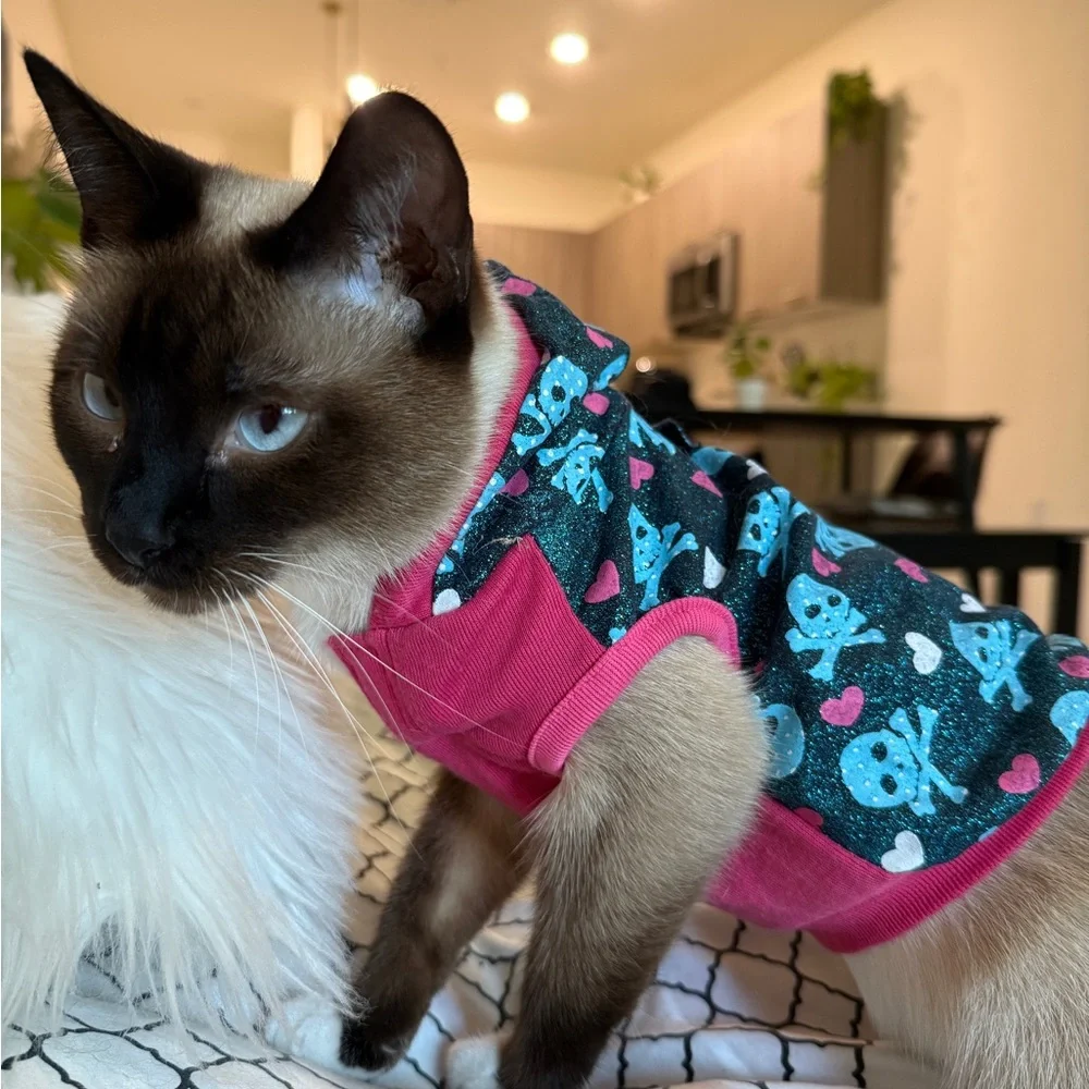 Stylish Pink and Blue Cat Hoodie